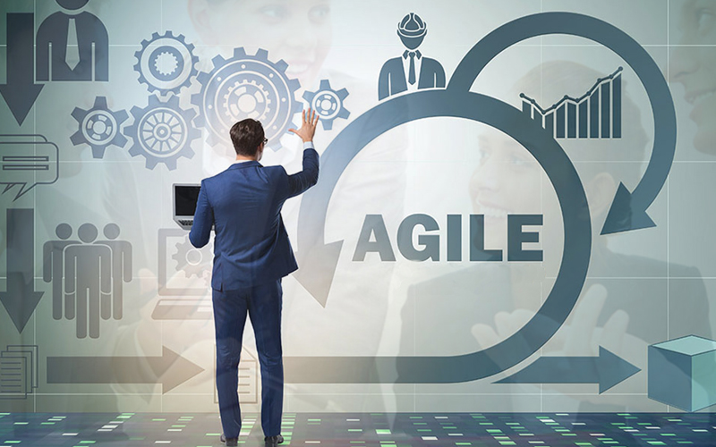 Agile Consulting Services